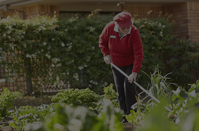 Community activities